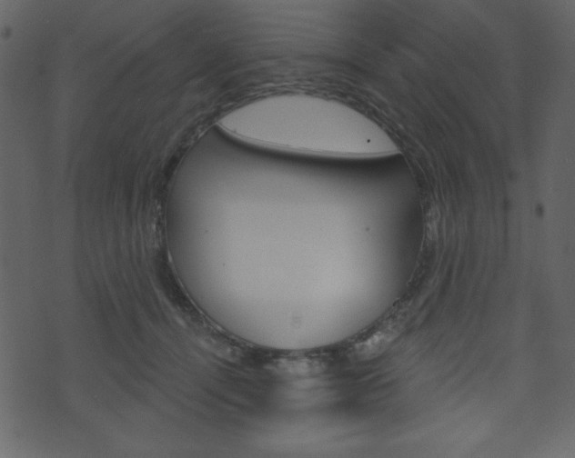 X0000071820464200606301015