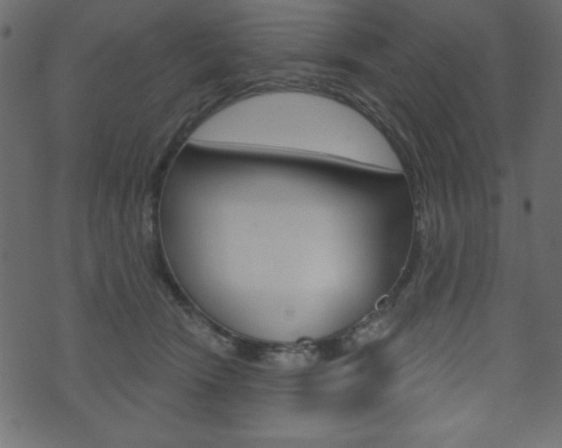 X0000071820466200606301015