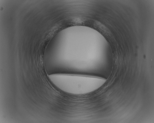 X0000071820467200606301015