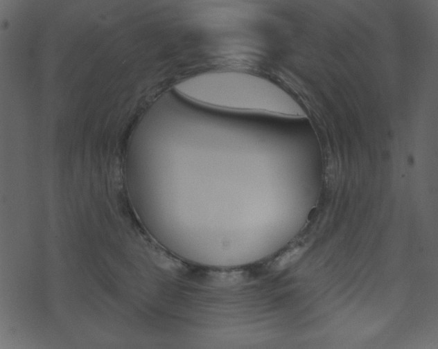 X0000071820469200606301015