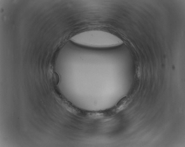 X0000071820476200606301015