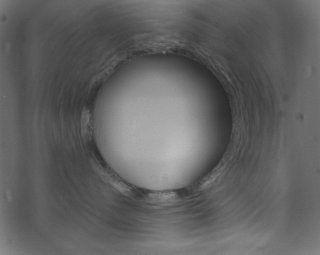 X0000071820480200606301015
