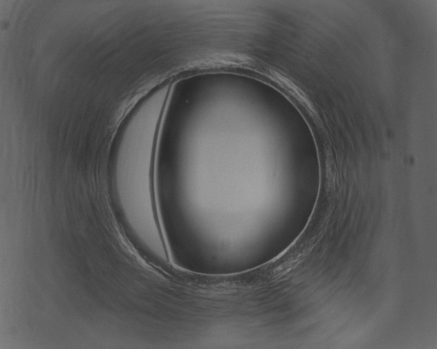 X0000071820485200606301014