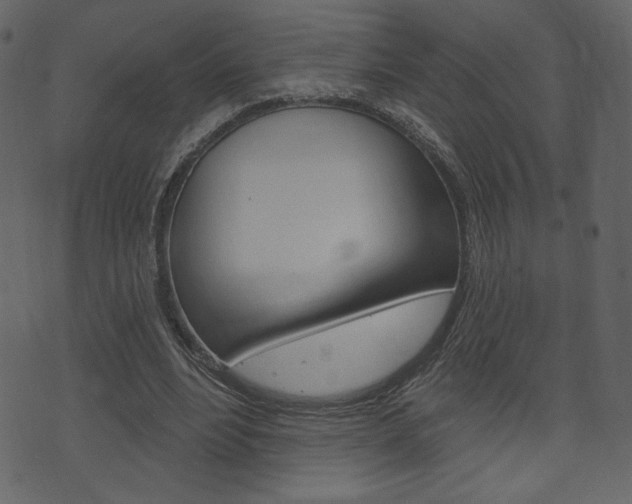 X0000071820488200606301014