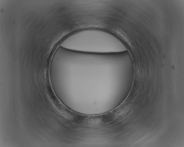 X0000071820491200606301014