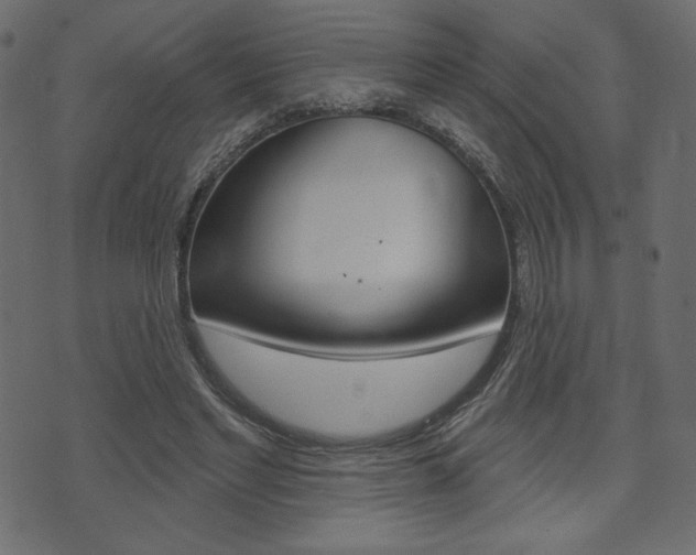X0000071820493200606301014