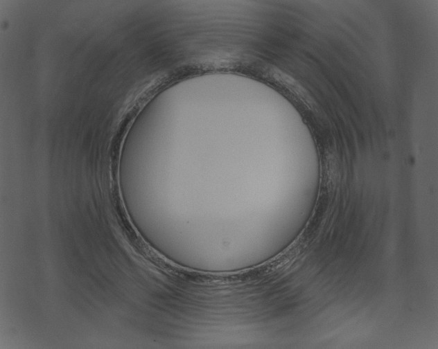 X0000071820494200606301014