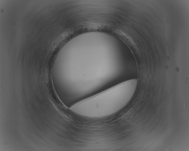 X0000071820496200606301014