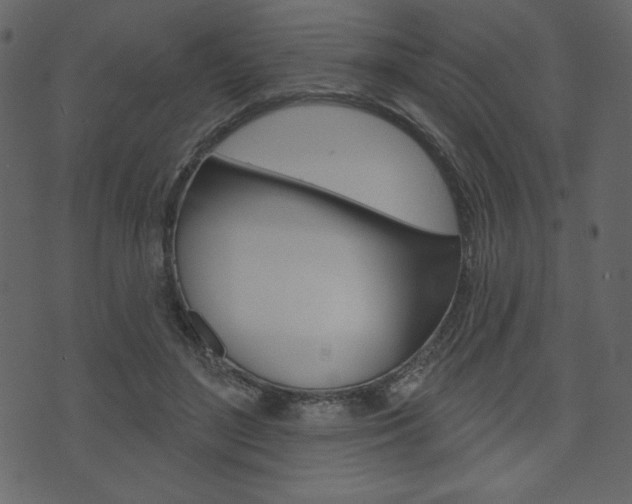 X0000071820500200606301014