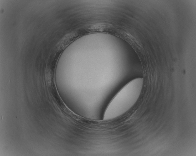 X0000071820504200606301014