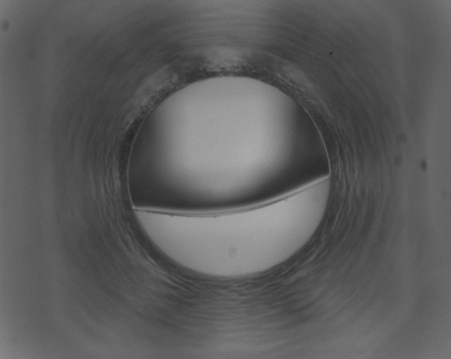 X0000071820508200606301014