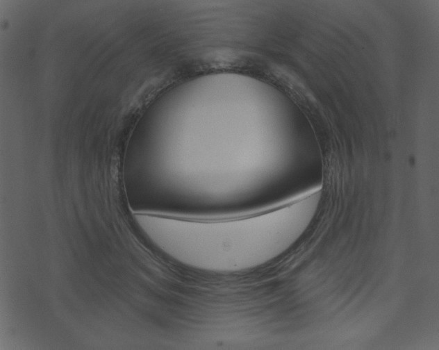 X0000071820509200606301014
