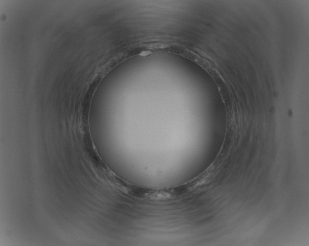 X0000071820512200606301014