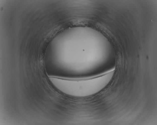 X0000071820513200606301014