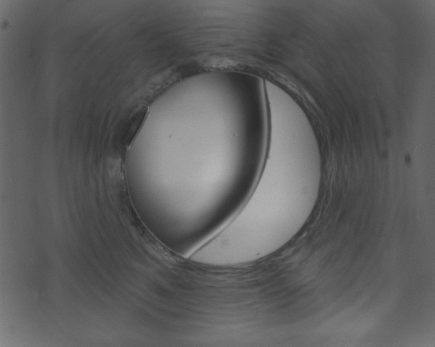 X0000071820521200606301014