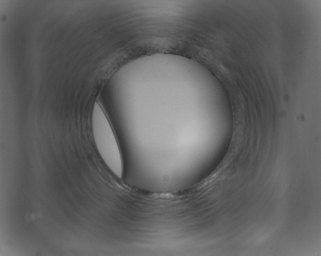 X0000071820528200606301013