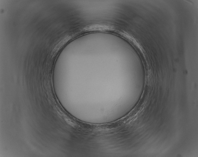 X0000071820529200606301013