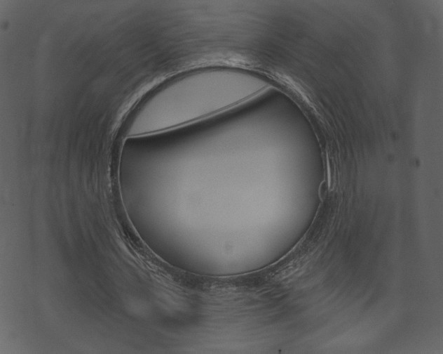 X0000071820531200606301013