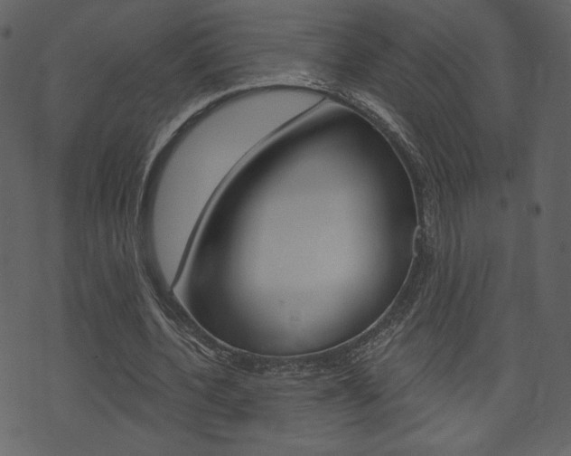 X0000071820532200606301013