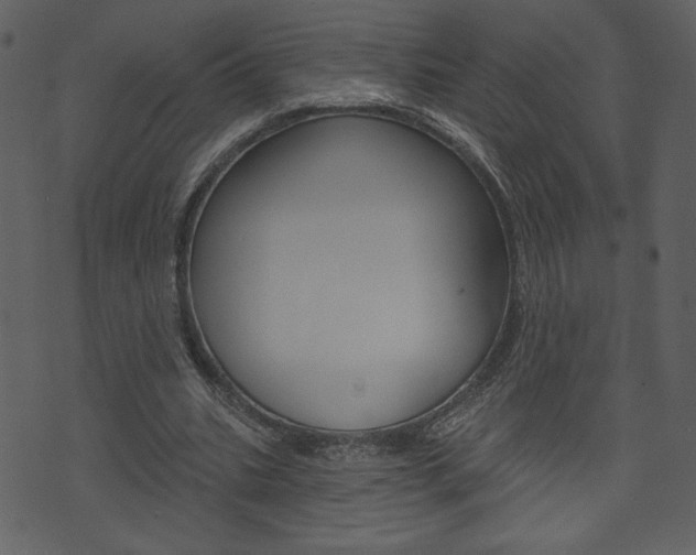X0000071820535200606301013
