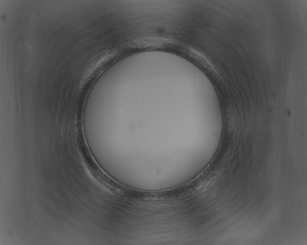 X0000071820538200606301013