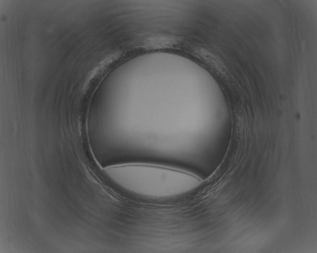 X0000071820539200606301013