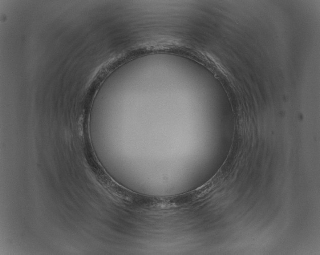 X0000071820543200606301013