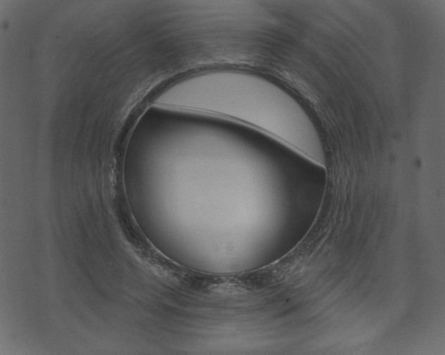 X0000071820544200606301013