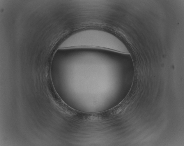 X0000071820546200606301013