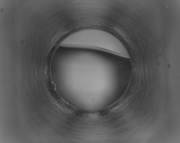 X0000071820548200606301013
