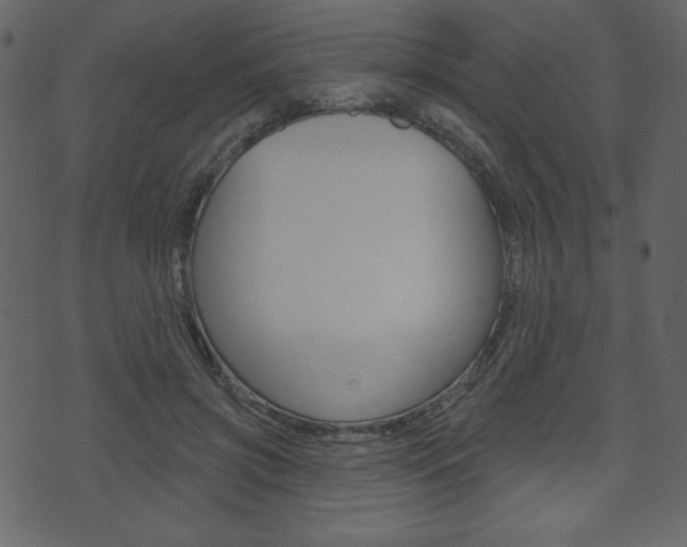 X0000071820549200606301013