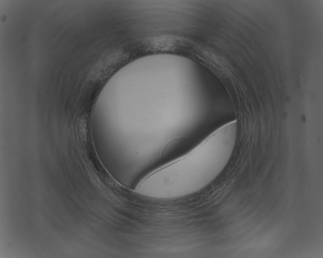 X0000071820551200606301013