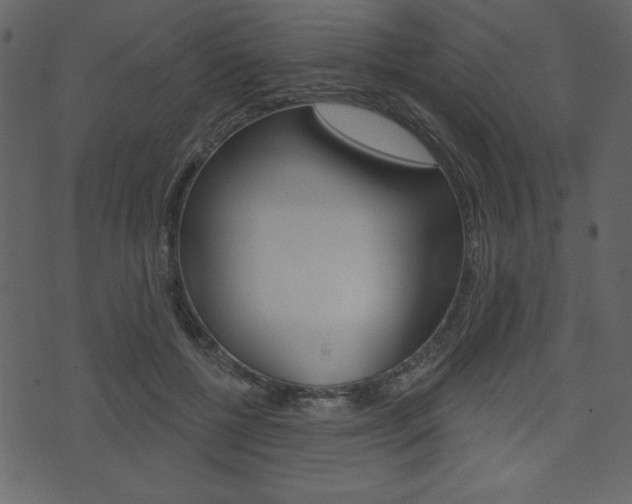 X0000071820552200606301013