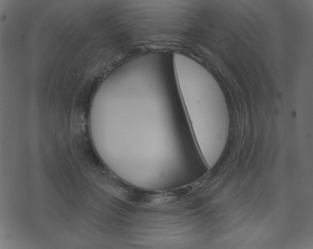 X0000071820555200606301013