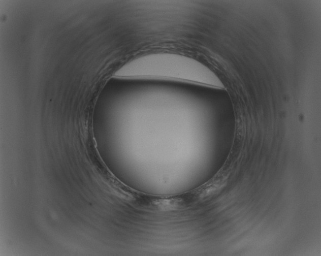 X0000071820558200606301013