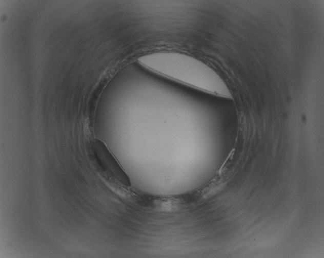 X0000071820564200606301013