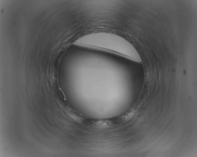X0000071820566200606301013