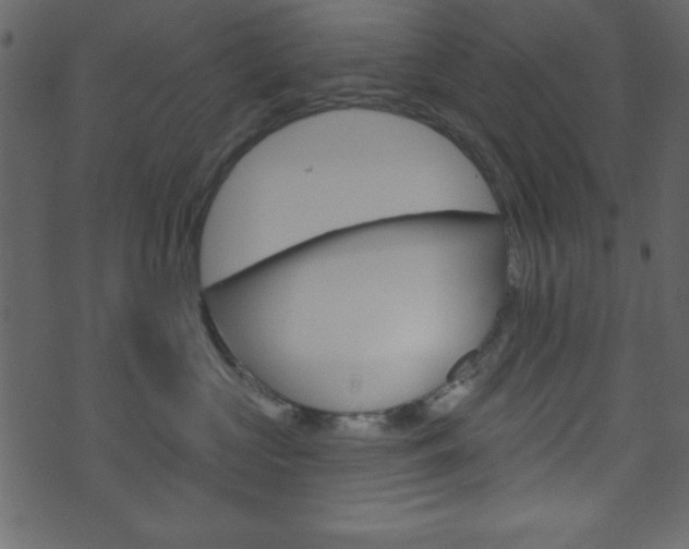 X0000071820573200606301013