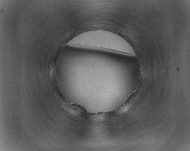 X0000071820574200606301013