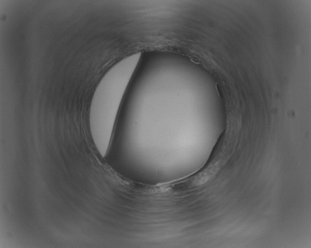 X0000071820576200606301013