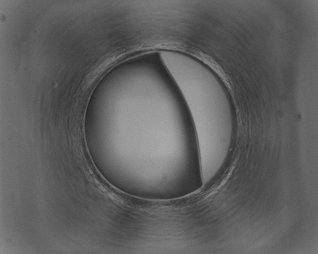 X0000071820577200606301013