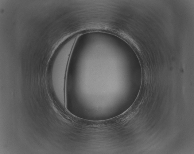 X0000071820580200606301013