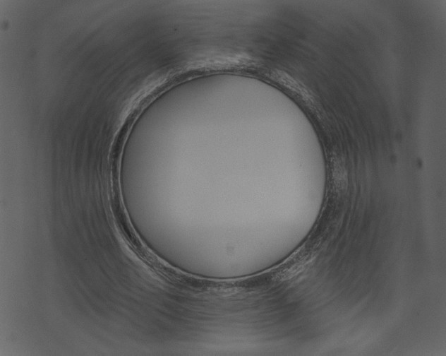X0000071820582200606301013