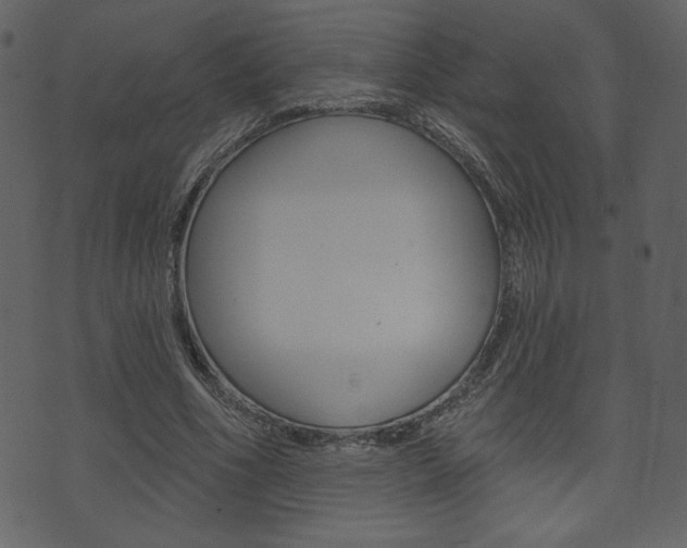 X0000071820586200606301013