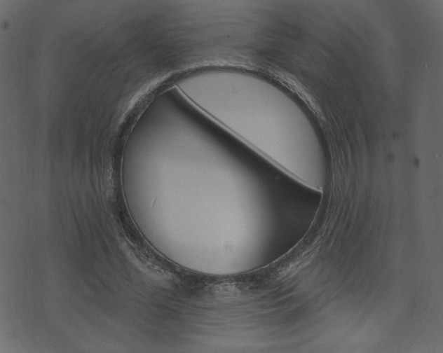 X0000071820588200606301012