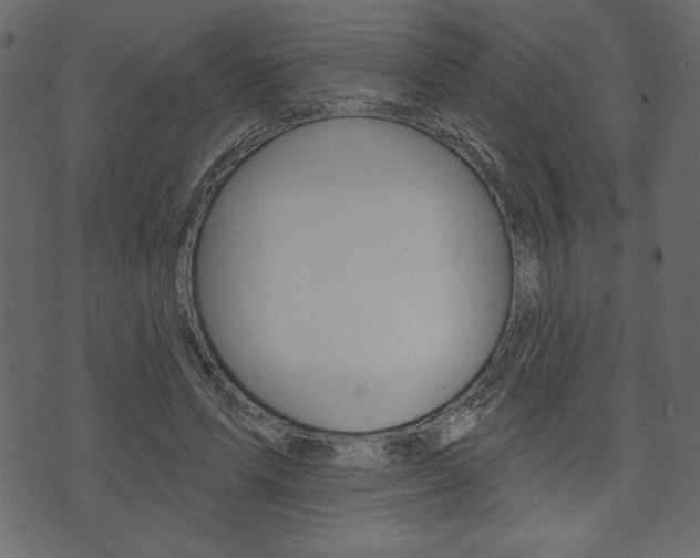 X0000071820591200606301012