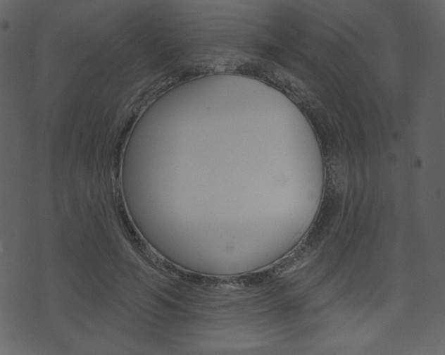 X0000071820594200606301012