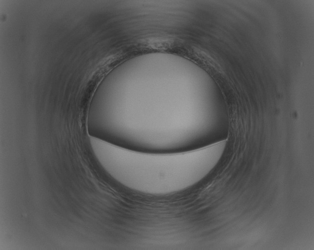 X0000071820595200606301012