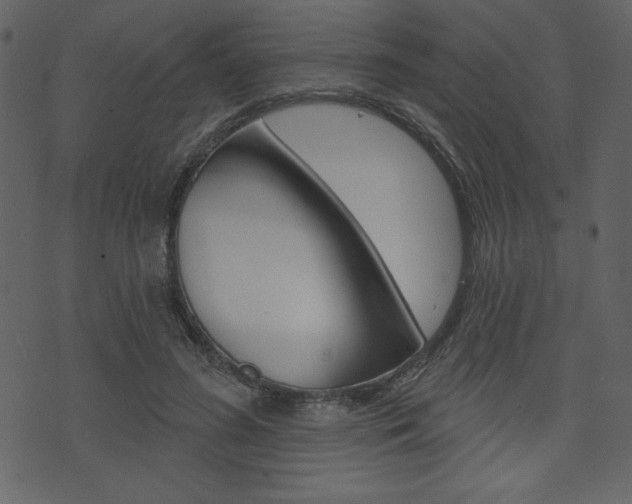 X0000071820596200606301012