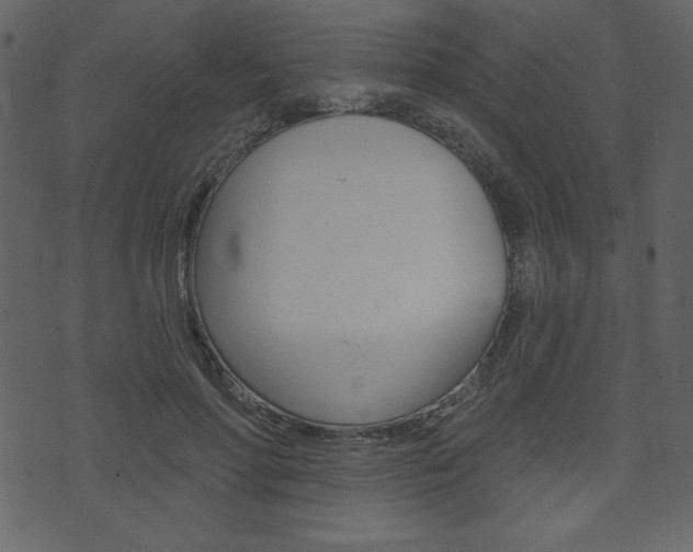 X0000071820598200606301012